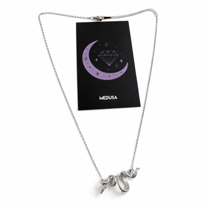 Silver necklace with a Medusa pendant on a white background