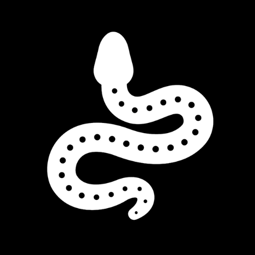 MEDUSA SNAKE