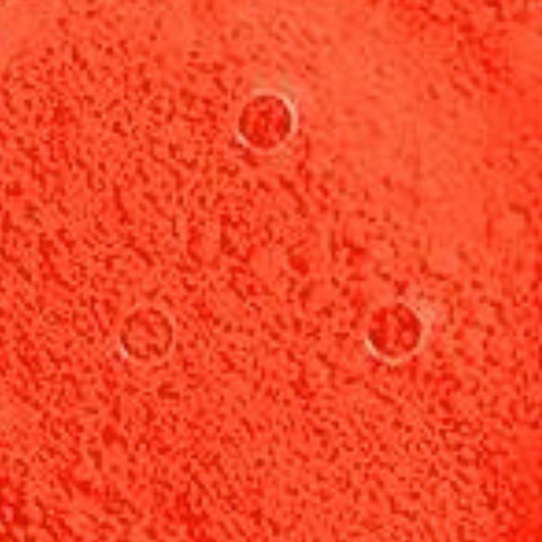 Close-up of a textured red surface with circular patterns
