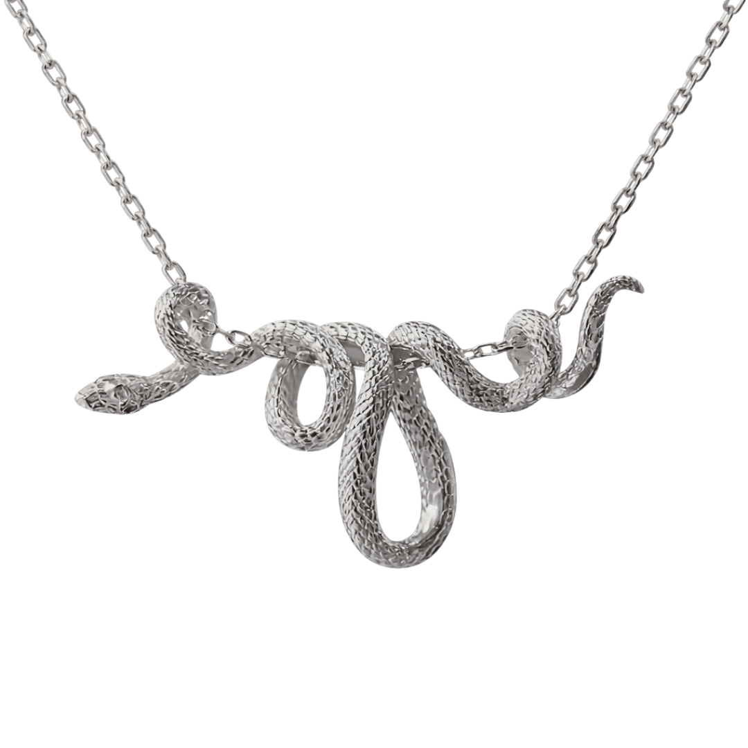 Silver snake-shaped pendant on a chain against a white background