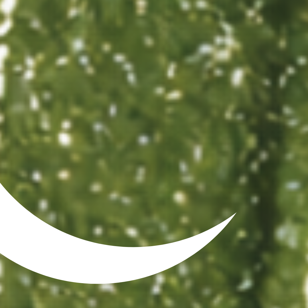 Close-up of green leafy vegetables with a white crescent moon shape.