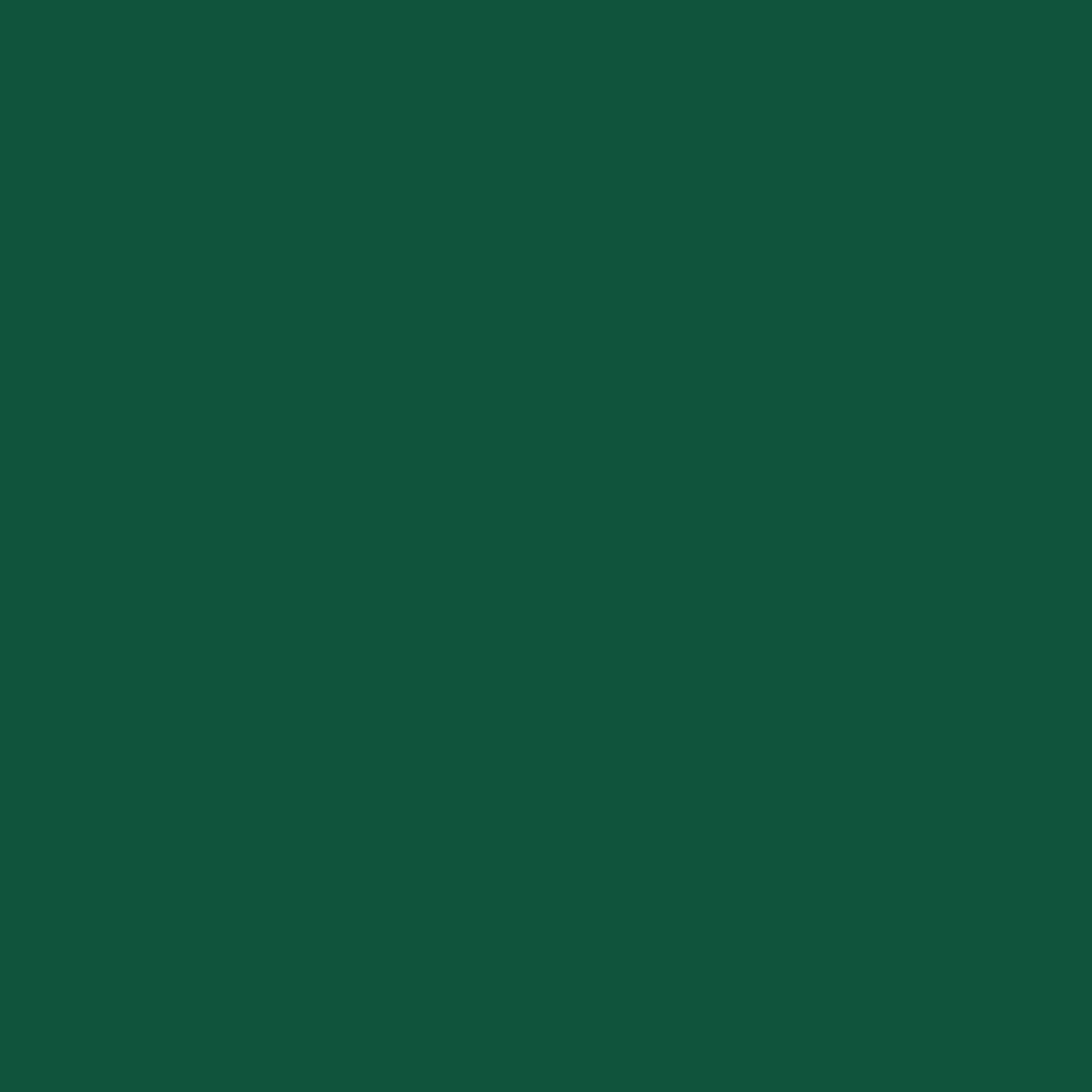 Solid green color swatch